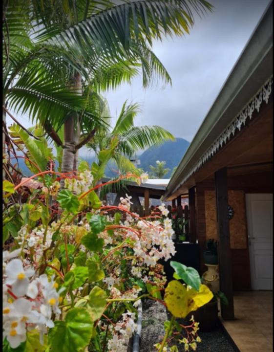 Meuble De Tourisme Makaze Villa แซ็งต์หลุยส์ ภายนอก รูปภาพ