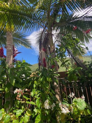 Meuble De Tourisme Makaze Villa แซ็งต์หลุยส์ ภายนอก รูปภาพ